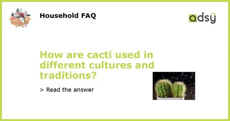 Interpreting Cacti Dreams in Various Cultures and Traditions