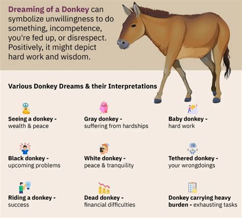 Interpreting Donkey Dreams in Various Cultural Contexts