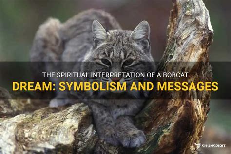 Interpreting Dreams: Decoding the Symbolism of Bobcat Assaults