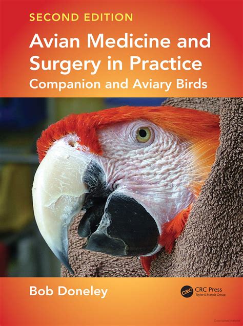 Interpreting Dreams of Offering Refreshment to an Avian Companion: Practical Guidance for Deciphering Subtle Compounds