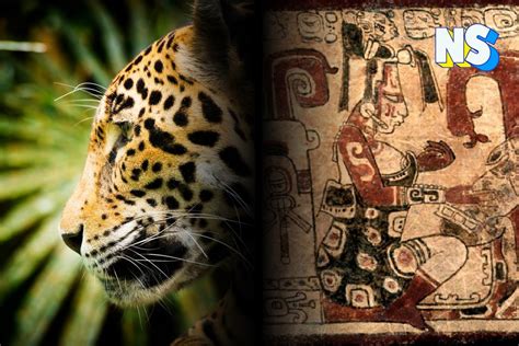 Interpreting the Jaguar as a Potent Archetypal Symbol