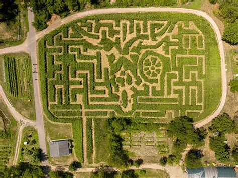 Intricate Designs: Exploring the Artistry of Maize Labyrinths