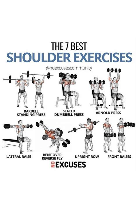 Introduction to Essential Shoulder Exercises for Novice Fitness Enthusiasts