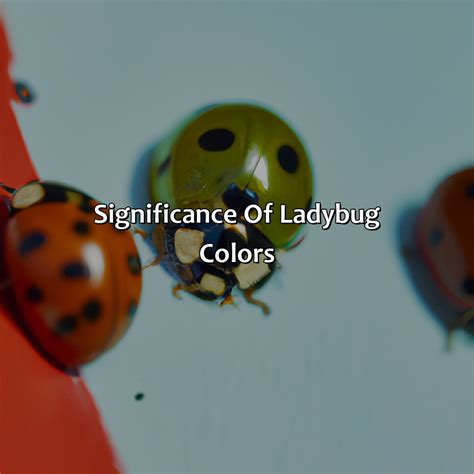 Is the Color Significance in Dreaming of a Blue Ladybug?
