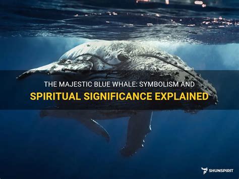 Journey to the Abyss: Understanding the Spiritual Significance of Encountering a Whales' Belly in the Realm of Dreams