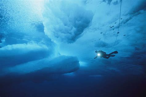 Journey to the Bottom of the Ocean: Discovering the Arctic's Submerged Wonderland