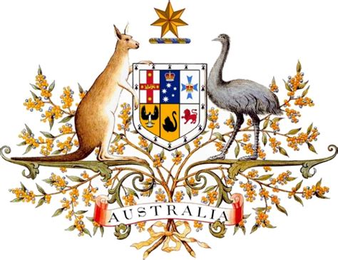 Kangaroos as Australia's National Symbol