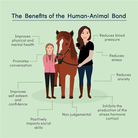 Learn from Inspiring Stories of Individuals who have Experienced the Joy of Having a Canine-Equine Partnership