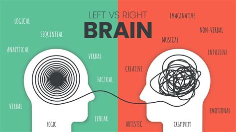 Left Brain vs. Right Brain: Insights into Dream Formation