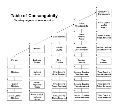 Legal Aspects of Cousin Relationships: A Global Overview