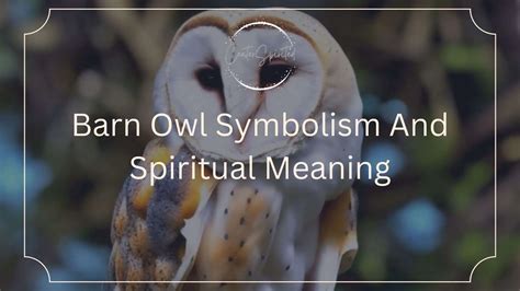 Lessons from the Enigmatic Vision: Applying Grey Owl's Symbolism to Our Lives