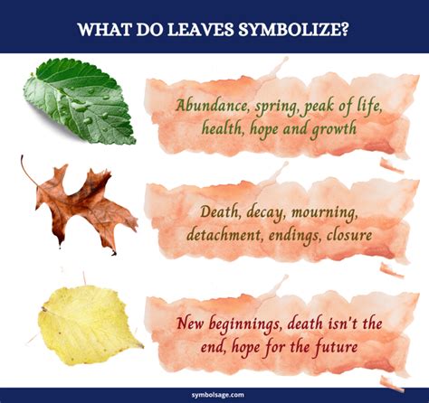 Letting Go and Renewal: Understanding the Symbolic Significance of Fallen Foliage in Personal Growth and Transformation