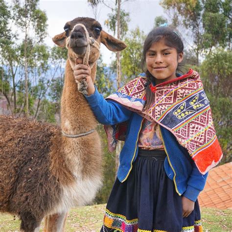 Llamas as Essential Companions of Indigenous Cultures