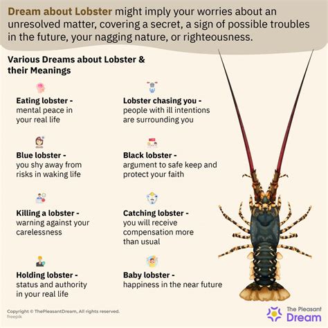 Lobsters in Dreams: A Closer Examination