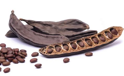 Locust Bean: A Historical Journey through Different Cultures