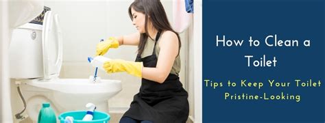 Maintain a Pristine Toilet through Regular Cleaning Practices