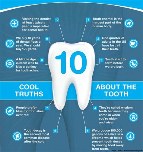 Maintaining Your Winning Smile: Essential Tips for Dental Care and Hygiene