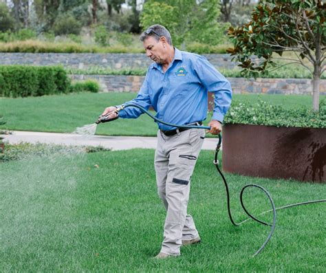 Maintaining and Nurturing Your Lawn Throughout the Year