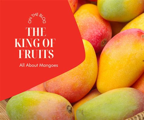 Mango: The Majestic Monarch of Fruits