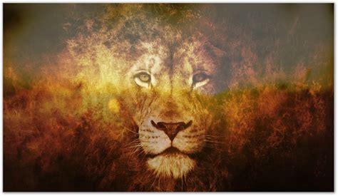 Manifestation of Power: Understanding the Lion's Presence in Your Home