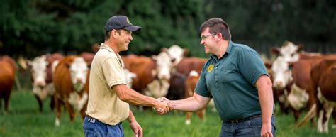 Marketing and Selling Your Livestock Products