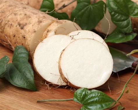 Mastering the Art of Watering Yam Plants