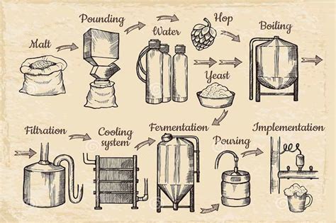 Mastering the Brewing Process: From Seed to Mug