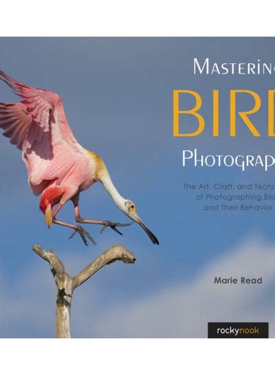 Mastering the Techniques for Flawless Bird Photographs