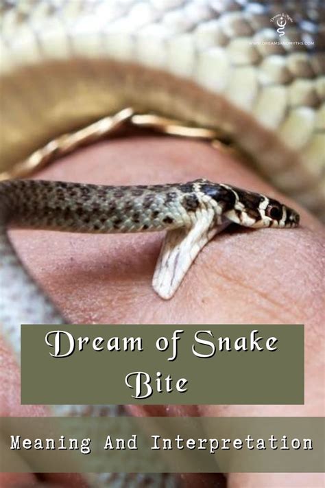 Meaning and Interpretation of Snake Bite in Dreams