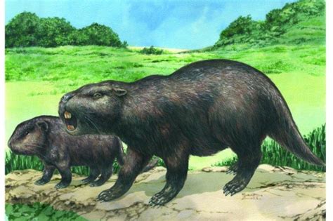 Megafauna Mystery: Revealing the Enigma of Giant Rodent Fossils