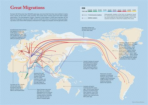 Migratory Paths: Navigating the World's Vast Expanse