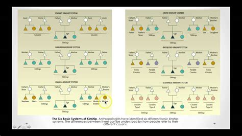 Misplaced Bonds: Investigating the Vanishing Kinship Phenomenon