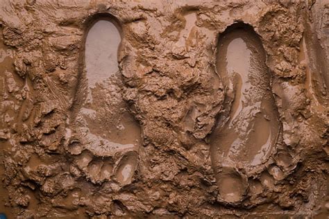 Muddy Footprints: Uncovering the Deeper Meanings