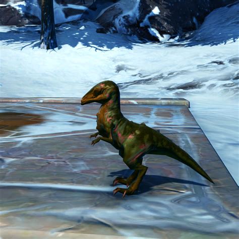 Mysterious Habitats: Where Can You Find the Verdant Raptors?