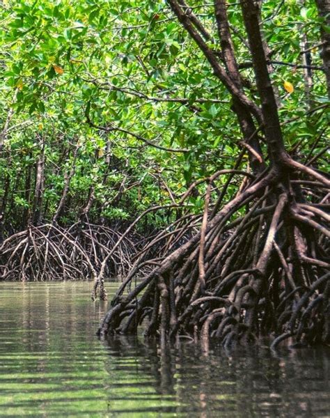 Mystical Legends and Folklore: Tales from Enigmatic Shorelines