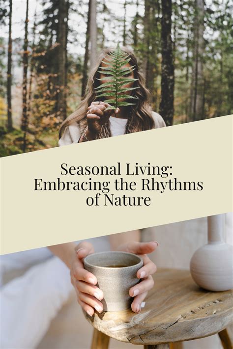 Natural Rhythms: Embracing the Seasons in a Haven Surrounded by Nature