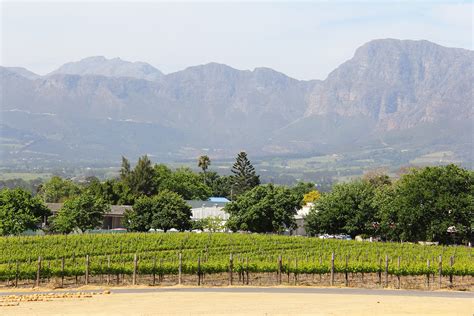 Nature's Masterpiece: A Closer Look at Cape's Breathtaking Landscapes