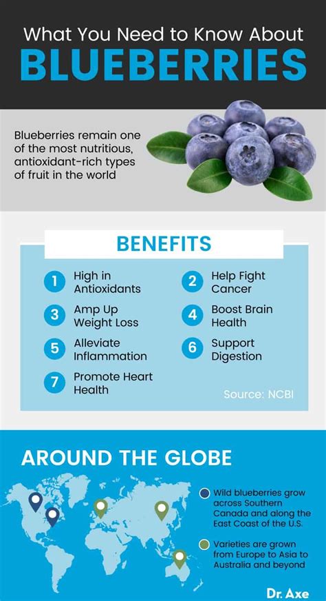 Nutritional Powerhouse: Exploring the Health Benefits of Berries