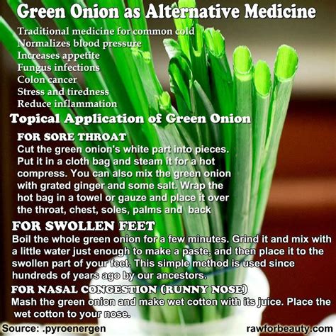 Onions as Natural Remedies: Traditional Uses and Modern Research