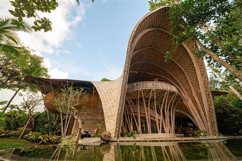 Openness and Natural Light: Experience the Serenity of Bamboo Architecture