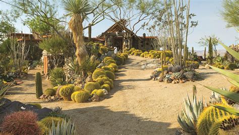 Overcoming Challenges: Conquering Hurdles in Maintaining Gardens in Arid Landscapes