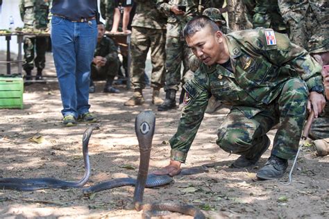 Overcoming the Threat: Techniques for Dealing with Encounters with Cobras