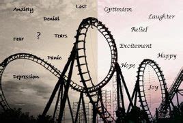 Parenting Challenges: Riding the Emotional Rollercoaster