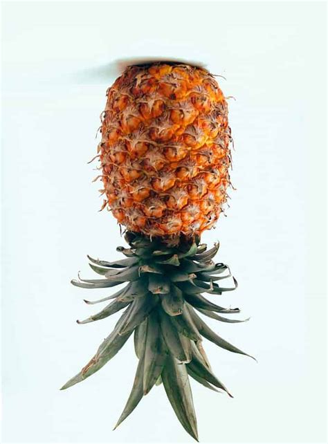 Pineapples: A Symbol of Prestige and Wealth in Colonial America