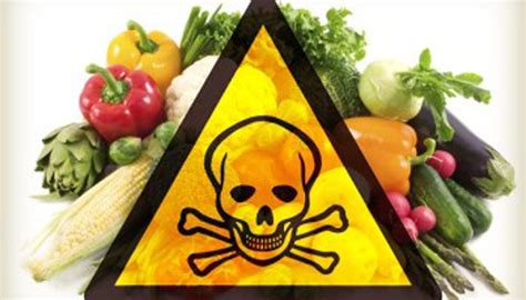 Poison on Your Plate: The Impact of Chemical Additives