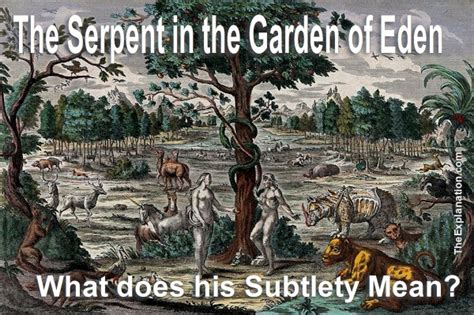 Possible Explanations for Canine Pursuit of Serpent