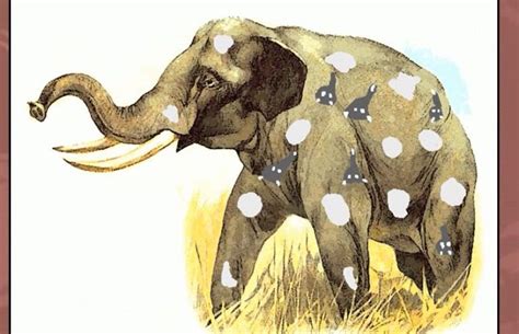 Possible Interpretations: Unraveling the Symbolism of a Dark Juvenile Pachyderm