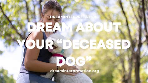 Possible Meanings of Discovering a Deceased Canine Companion in Your Reveries