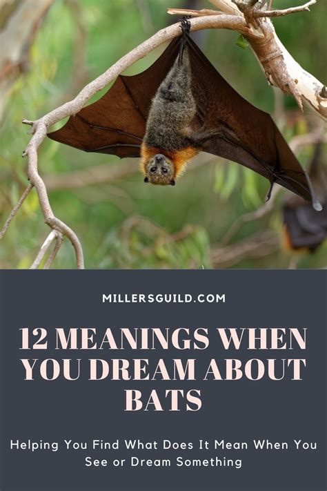 Possible Meanings of Dreaming About Bats