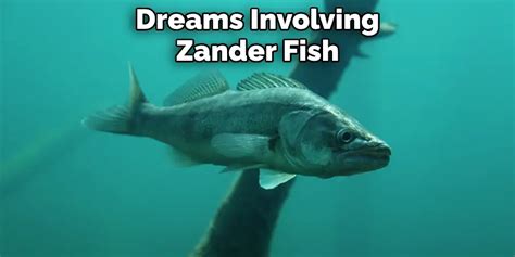 Possible Significations and Explanations Behind Dreams Involving Fish within One's Tresses